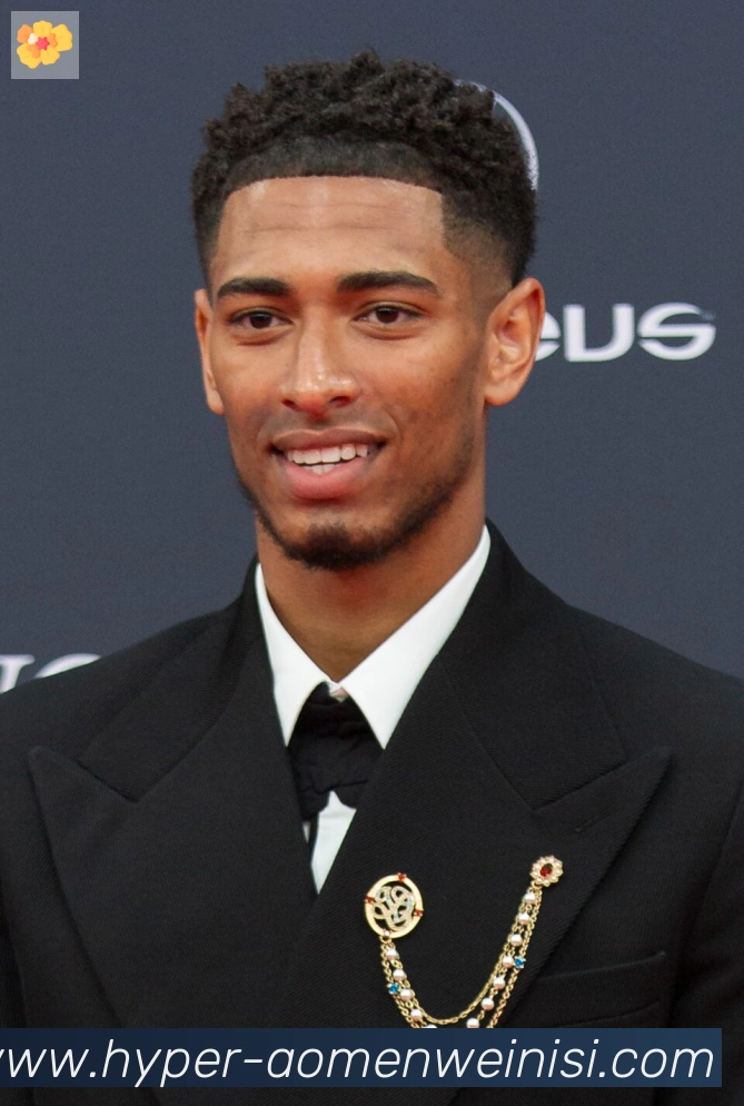 维尼修斯